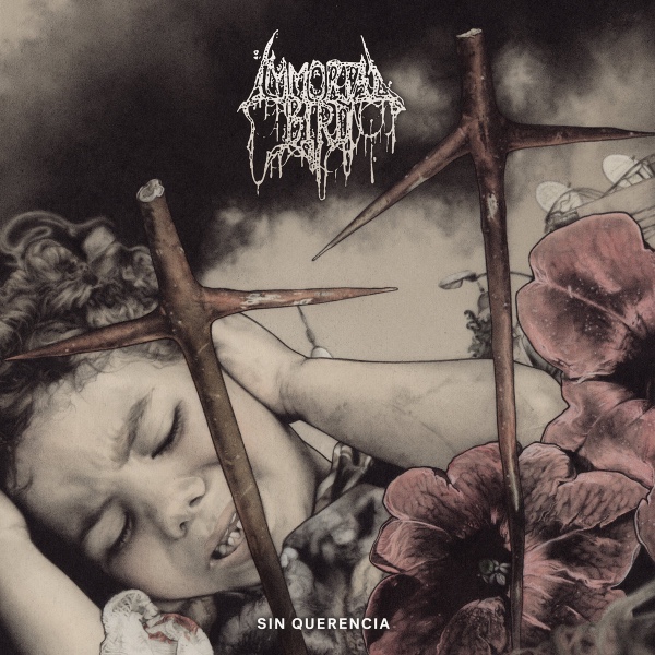 Review 72: Immortal Bird – Sin&nbsp;Querencia